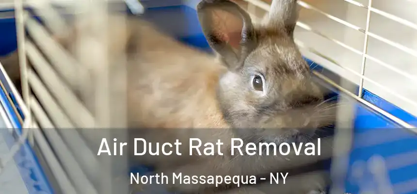  Air Duct Rat Removal North Massapequa - NY