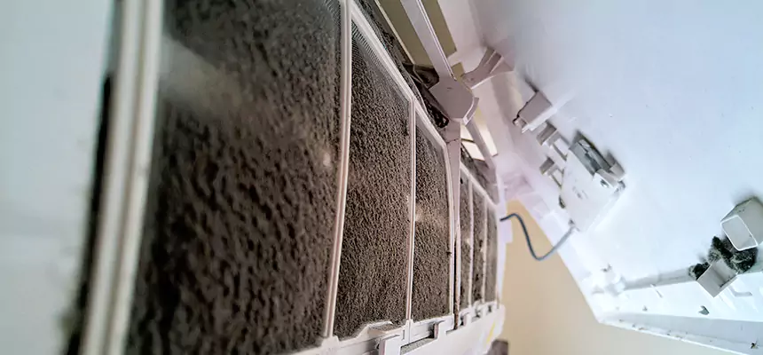 Preventive Air Duct Bacteria Removal in North Massapequa