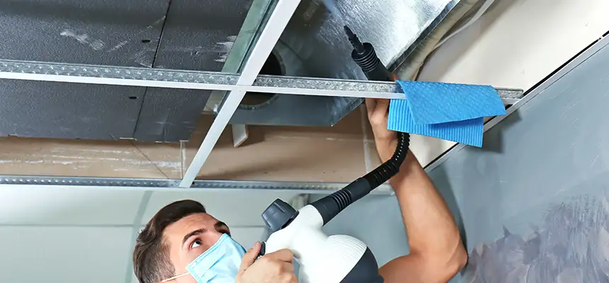 Our Air Duct Rodent Removal Services in North Massapequa, NY