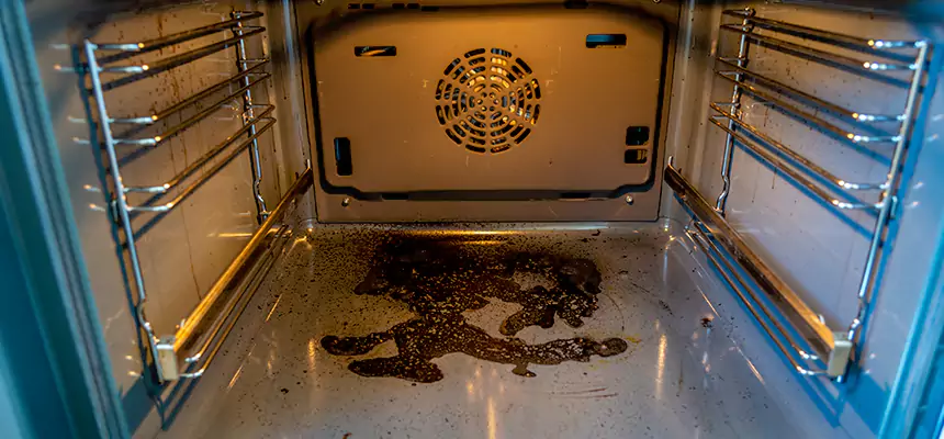 Our Dryer Vent Mold Cleaning Services in North Massapequa, NY