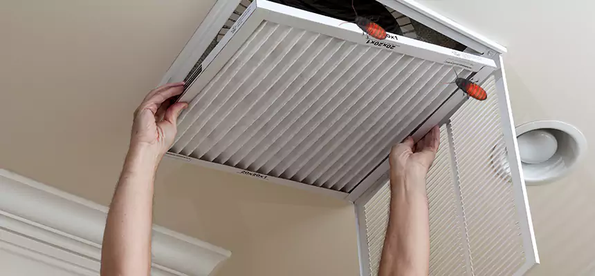Our Insect Removal from Air Ducts Services in North Massapequa, NY