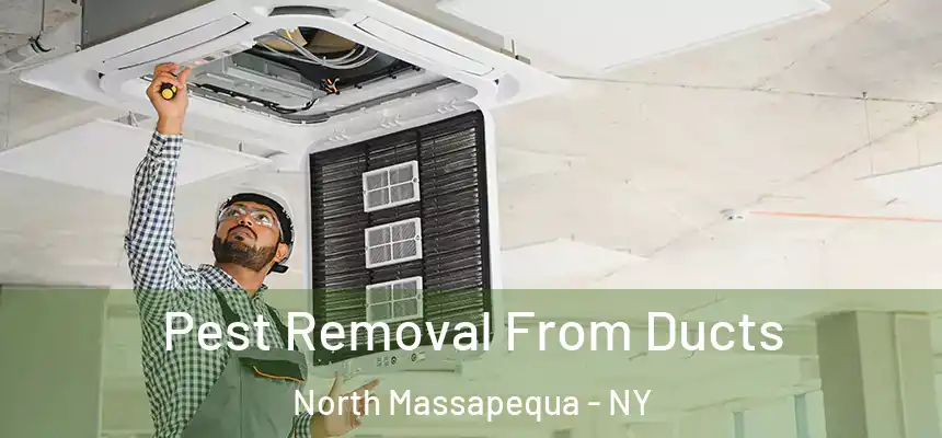  Pest Removal From Ducts North Massapequa - NY