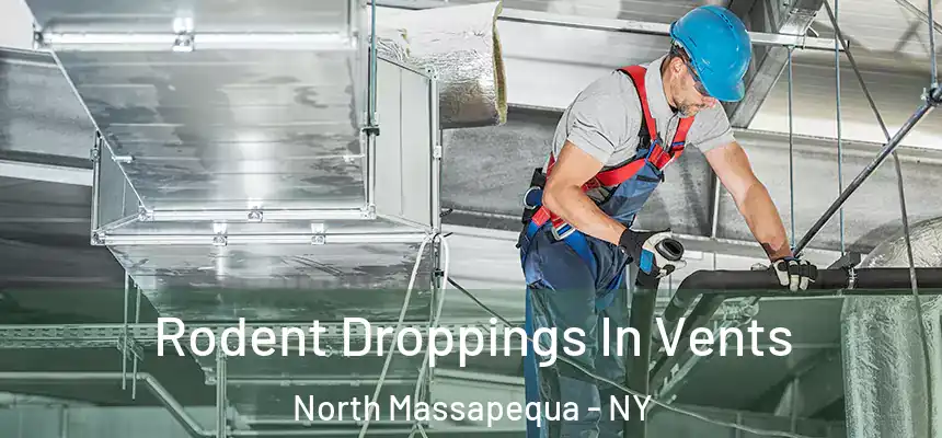  Rodent Droppings In Vents North Massapequa - NY