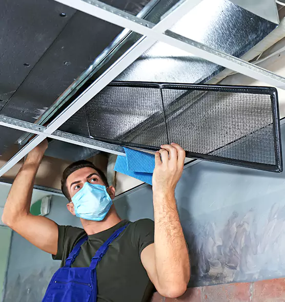 About Air Duct Bacteria Removal in North Massapequa