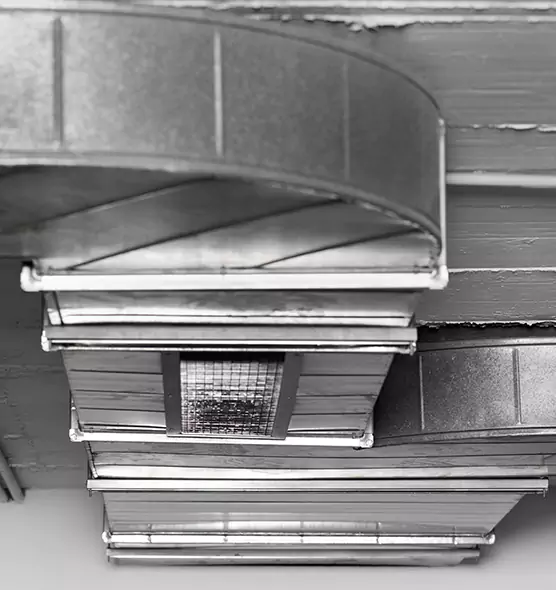 Professional Air Duct Pest Removal in North Massapequa, NY