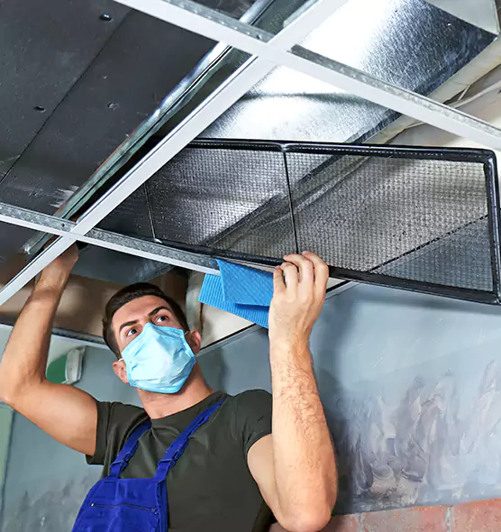 Professional Air Duct Pollen Cleaning in North Massapequa, NY