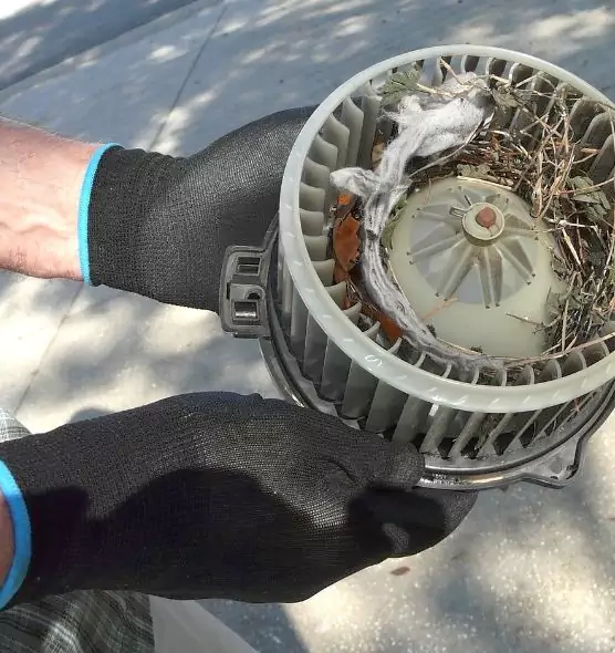 About Air Duct Rat Removal in North Massapequa, NY