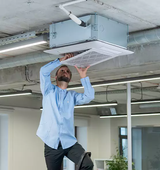 Advanced Rodent Droppings In Vents in North Massapequa, NY