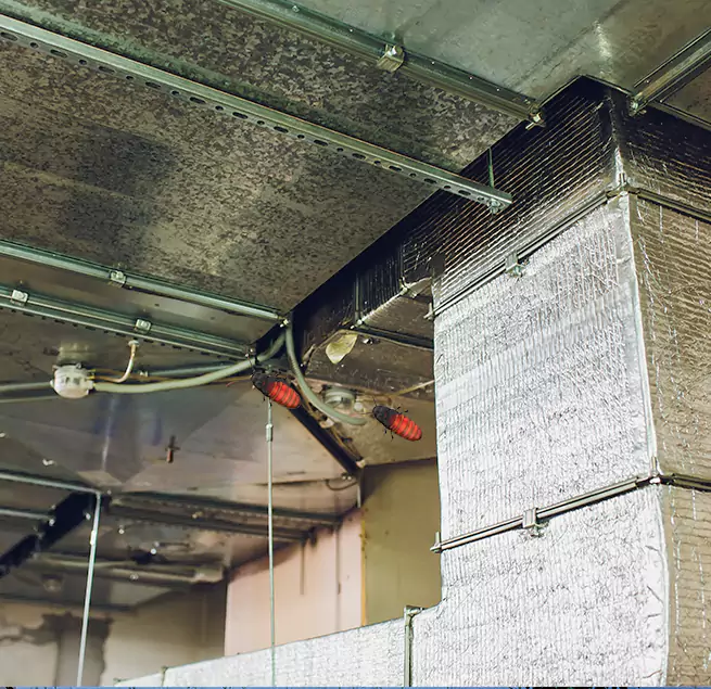 Why Homeowners & Businesses Trust Us in North Massapequa, NY?