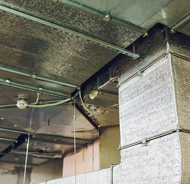 Why Homeowners & Businesses Trust Us in North Massapequa, NY?